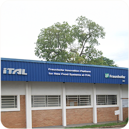 Fraunhofer FIP_NFS@Ital - Comer com Ciência