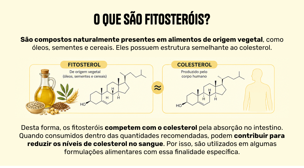 margarida_fitosterol