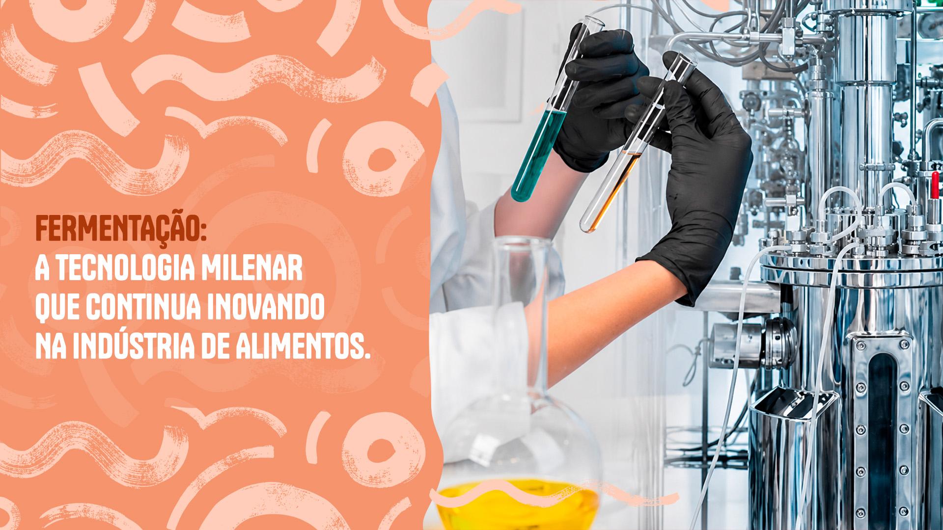 Fermentação: a tecnologia milenar que continua inovando na indústria de alimentos